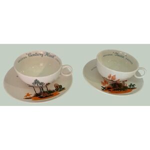 Universal Potteries‎ Vintage Arizona Cactus Tea Cup Saucer Set Century Yucca NWT